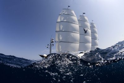 FalconMaltese_cb06_0166